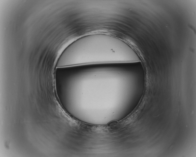 X0000101670808200807101048