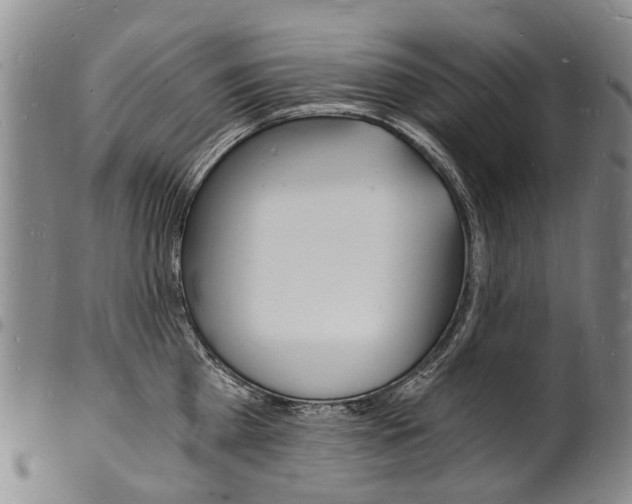 X0000101670809200807101048