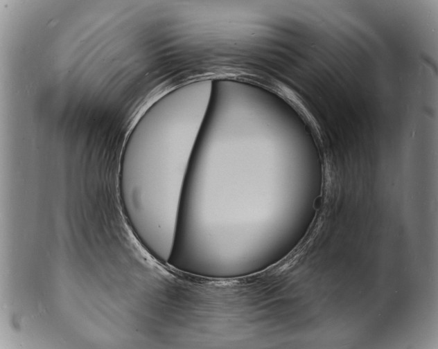 X0000101670810200807101048