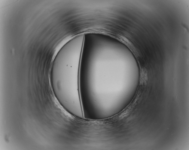 X0000101670812200807101048