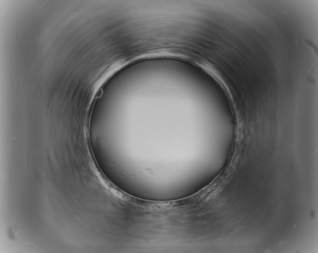 X0000101670813200807101048