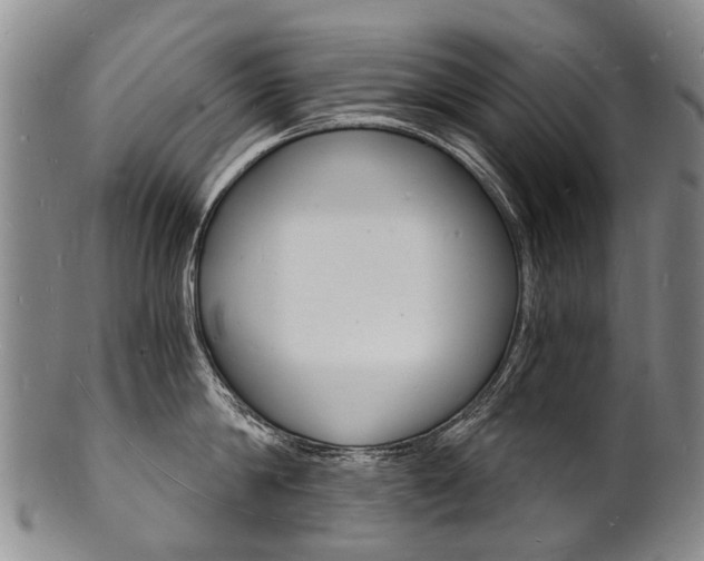 X0000101670814200807101048