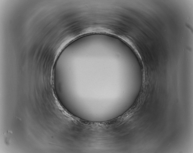 X0000101670815200807101048