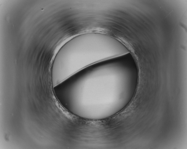 X0000101670816200807101048