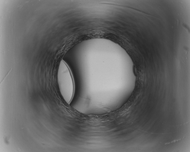 X0000101670818200807101047