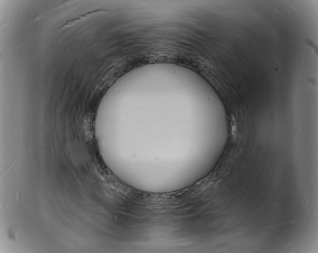 X0000101670819200807101047