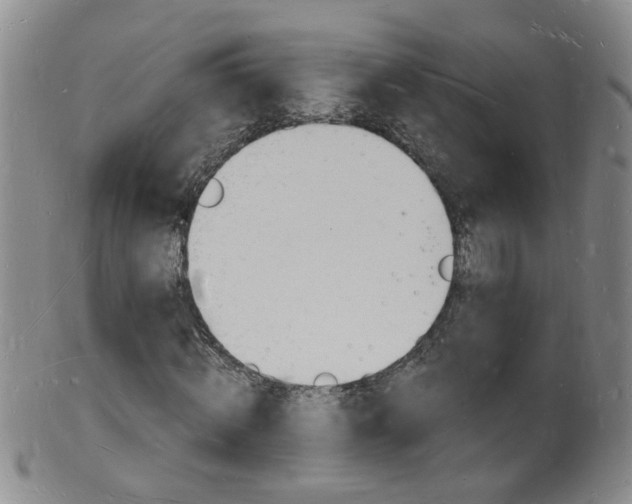 X0000101670820200807101047