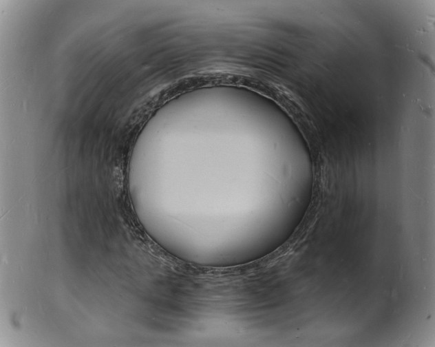 X0000101670821200807101047