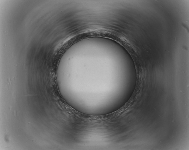 X0000101670822200807101047