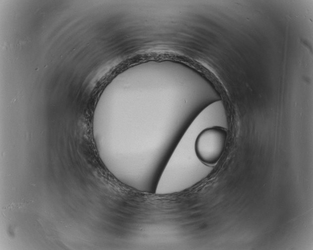 X0000101670823200807101047