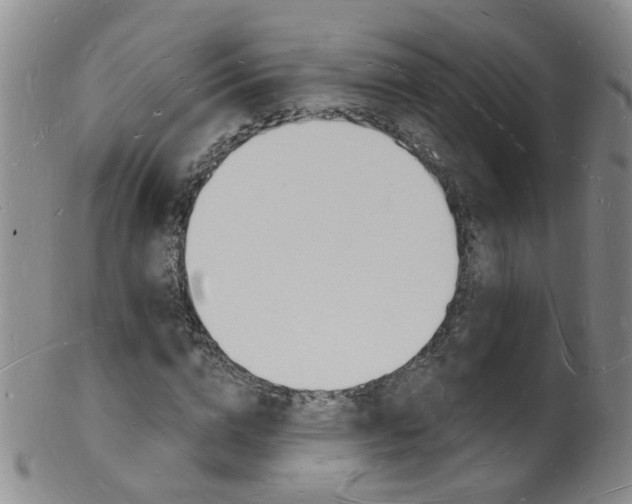 X0000101670824200807101047