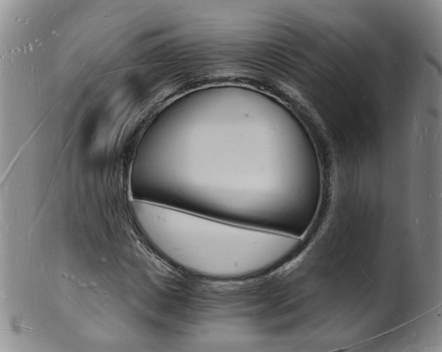 X0000101670825200807101047