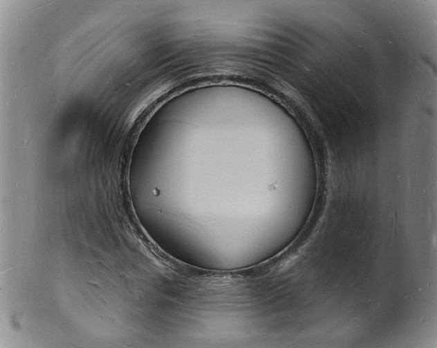 X0000101670826200807101047