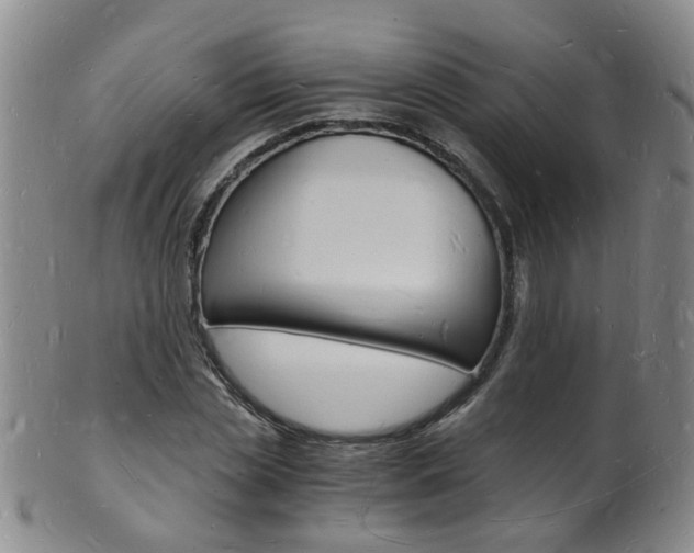 X0000101670829200807101047