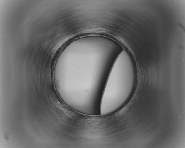 X0000101670830200807101047