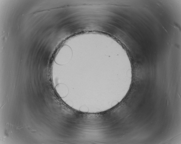 X0000101670832200807101047