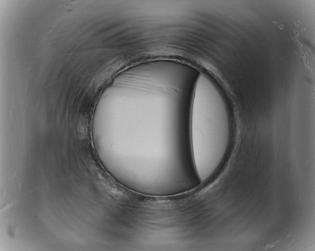 X0000101670833200807101047