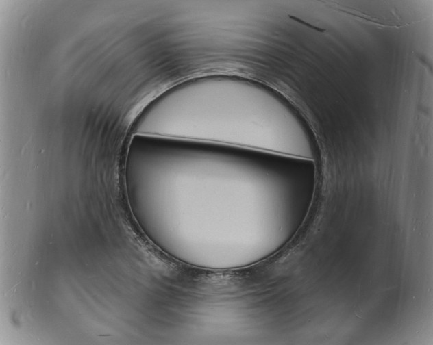 X0000101670834200807101047