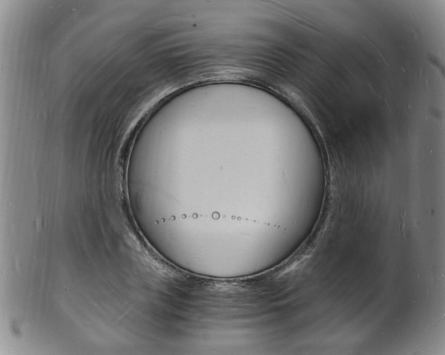 X0000101670835200807101047