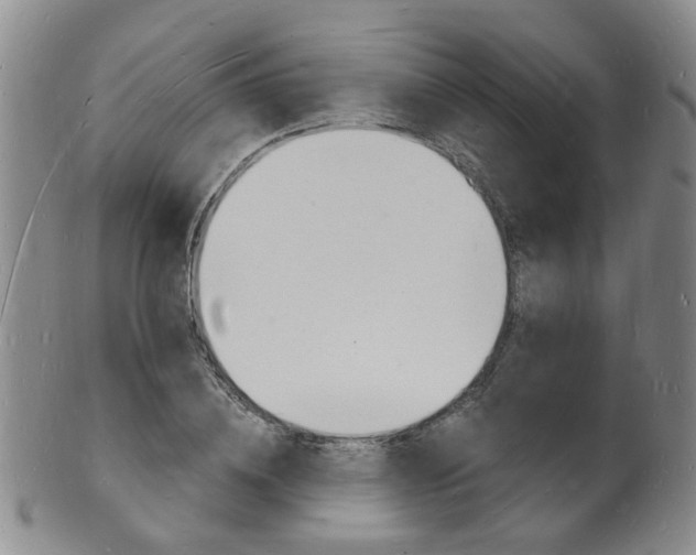 X0000101670836200807101047
