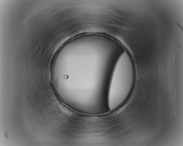 X0000101670837200807101047