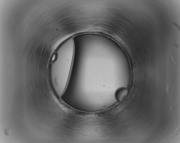 X0000101670838200807101047