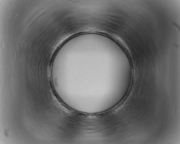 X0000101670839200807101047