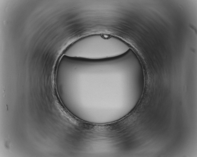 X0000101670840200807101047