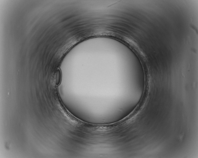 X0000101670841200807101047