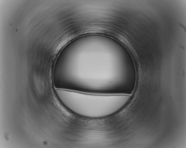 X0000101670842200807101047