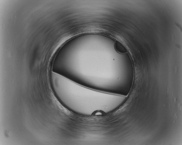 X0000101670843200807101047