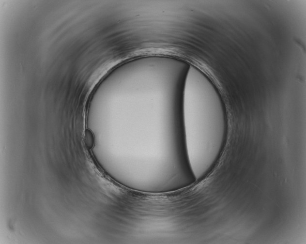 X0000101670844200807101047