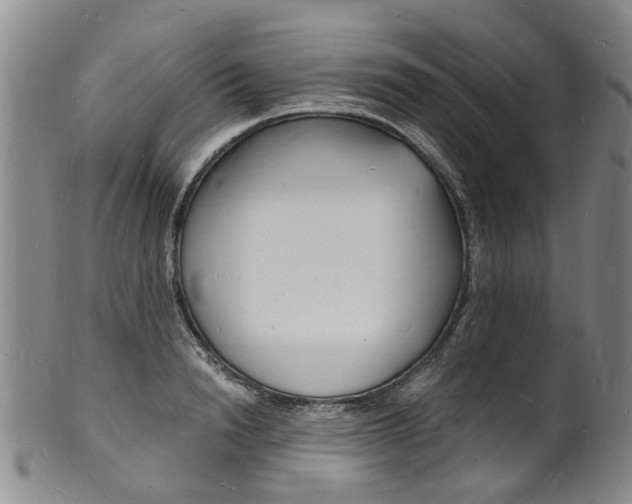 X0000101670846200807101047