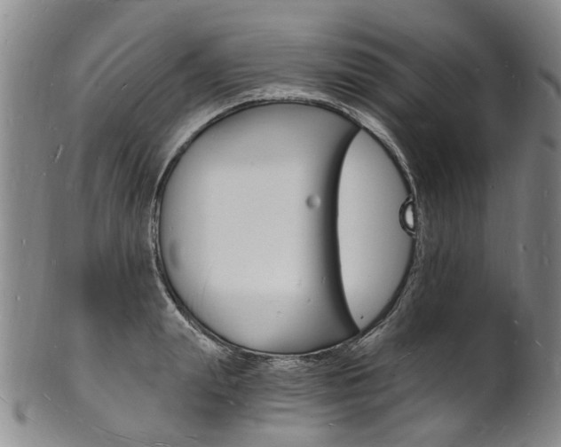 X0000101670847200807101047