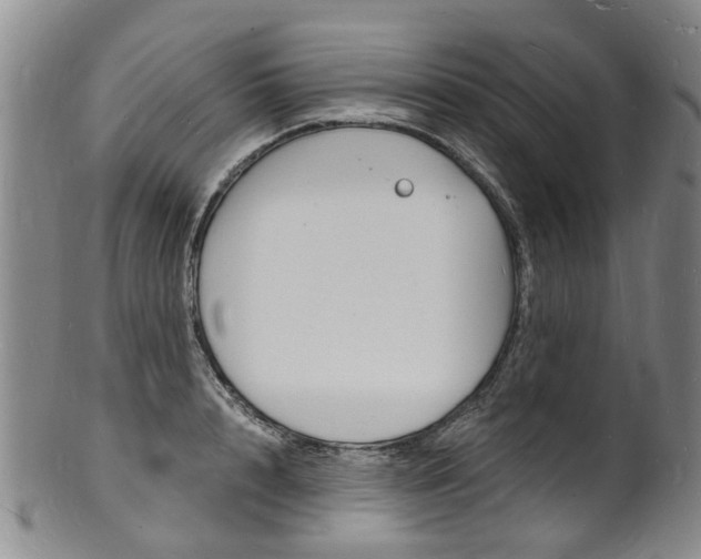 X0000101670848200807101047