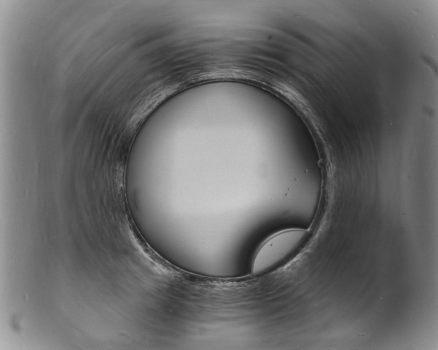 X0000101670849200807101047