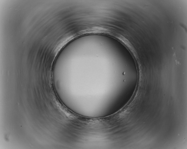 X0000101670850200807101047