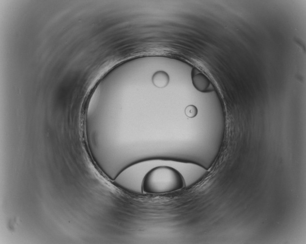 X0000101670851200807101047