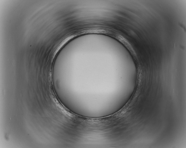 X0000101670852200807101047