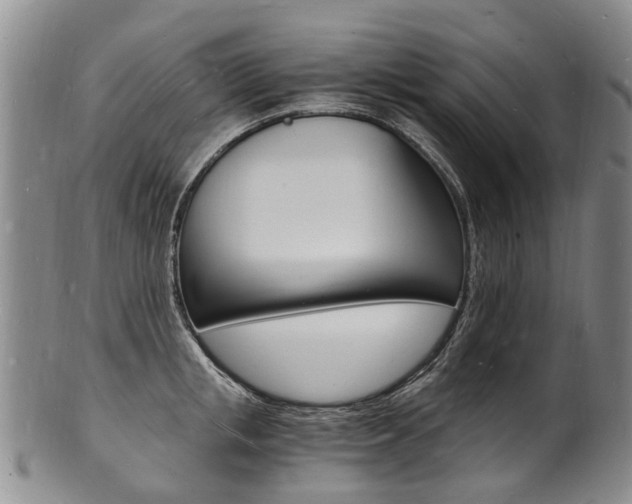 X0000101670853200807101047