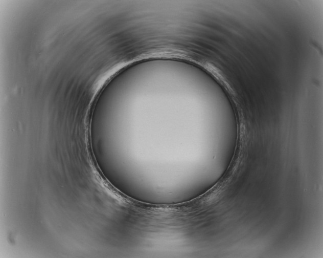 X0000101670854200807101047