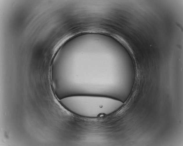 X0000101670855200807101047