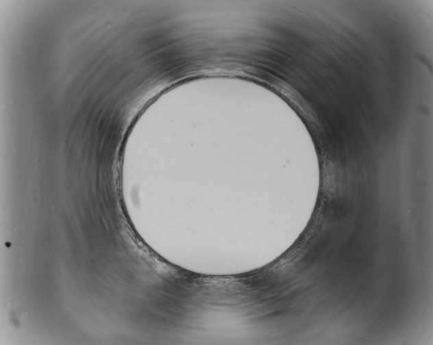 X0000101670856200807101047