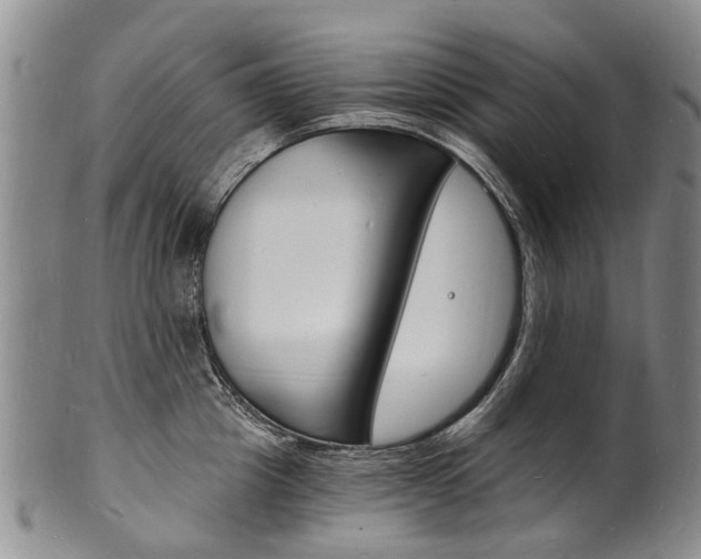 X0000101670857200807101047