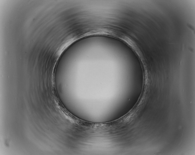 X0000101670858200807101047