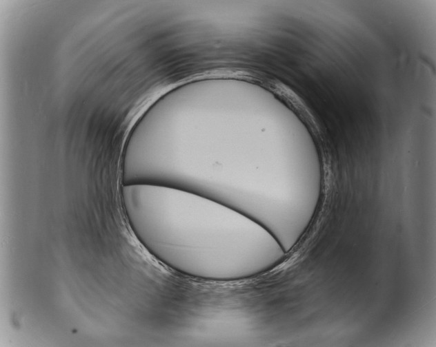X0000101670860200807101048