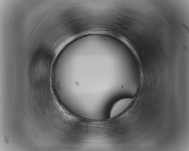 X0000101670861200807101048