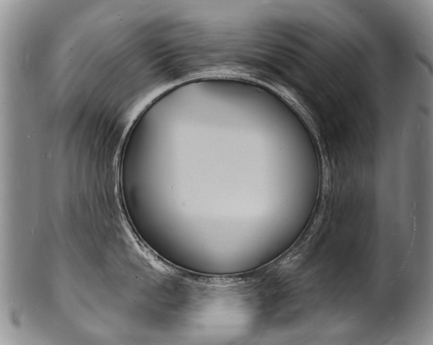 X0000101670862200807101048