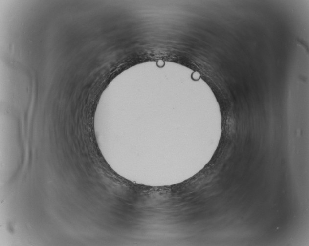 X0000101670865200807101047