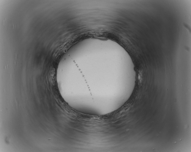 X0000101670867200807101047
